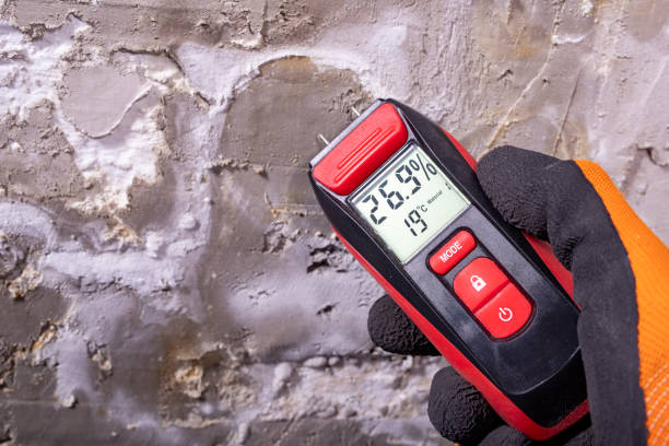 Best Bathroom Mold Remediation in White City, FL