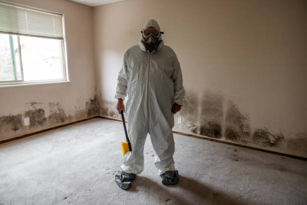 Best Industrial Mold Remediation in White City, FL